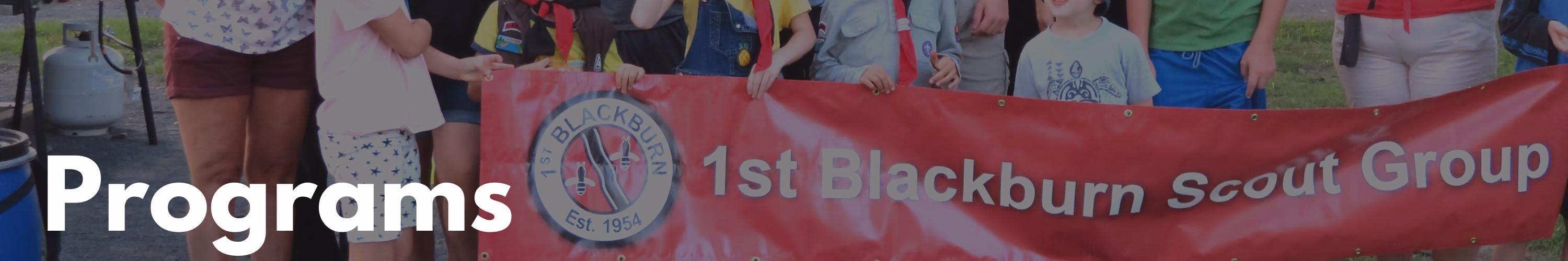 Programs banner image